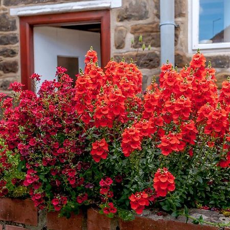 Chimes Cottage Guisborough Exterior foto