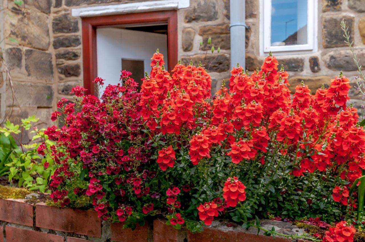 Chimes Cottage Guisborough Exterior foto
